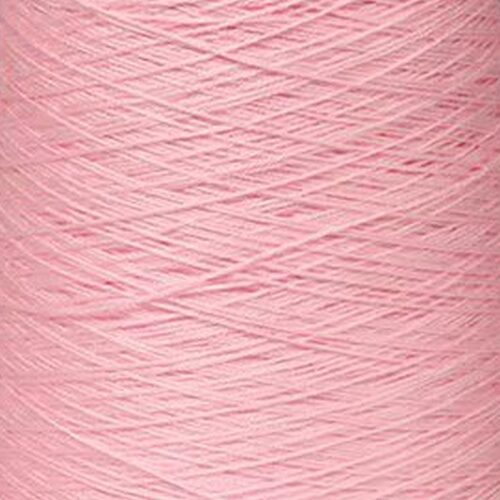 F026  -Rose